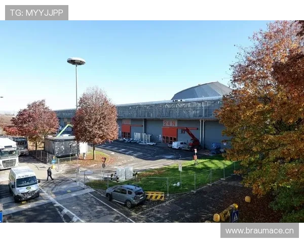 米兰体育入口：探索米兰体育官方入口提供的丰富赛事直播与互动功能